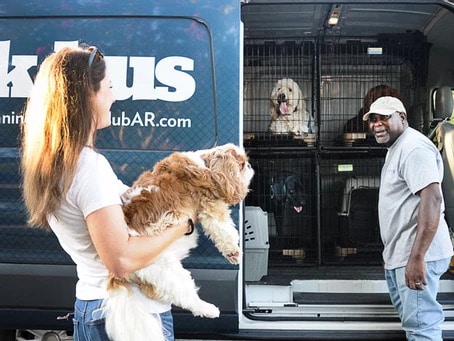 Canine Country Club of Arkansas helping dogs onto the Bark Bus
